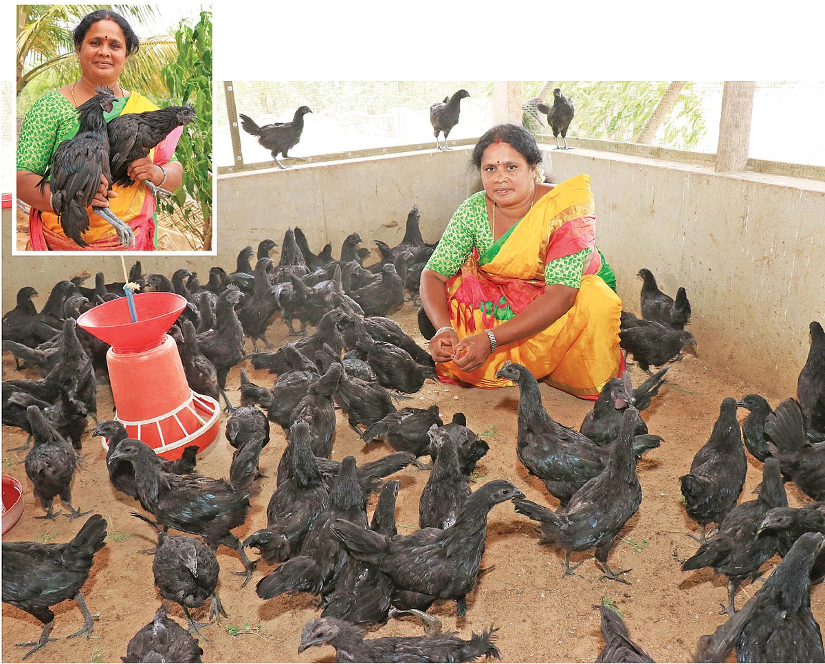 கருங்கோழிகளுடன் ராமலட்சுமி