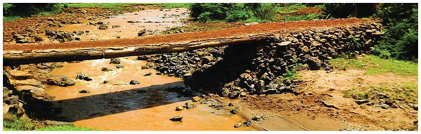 எத்தியோப்பியாவின் பென்னிகுயிக் தமிழர்!