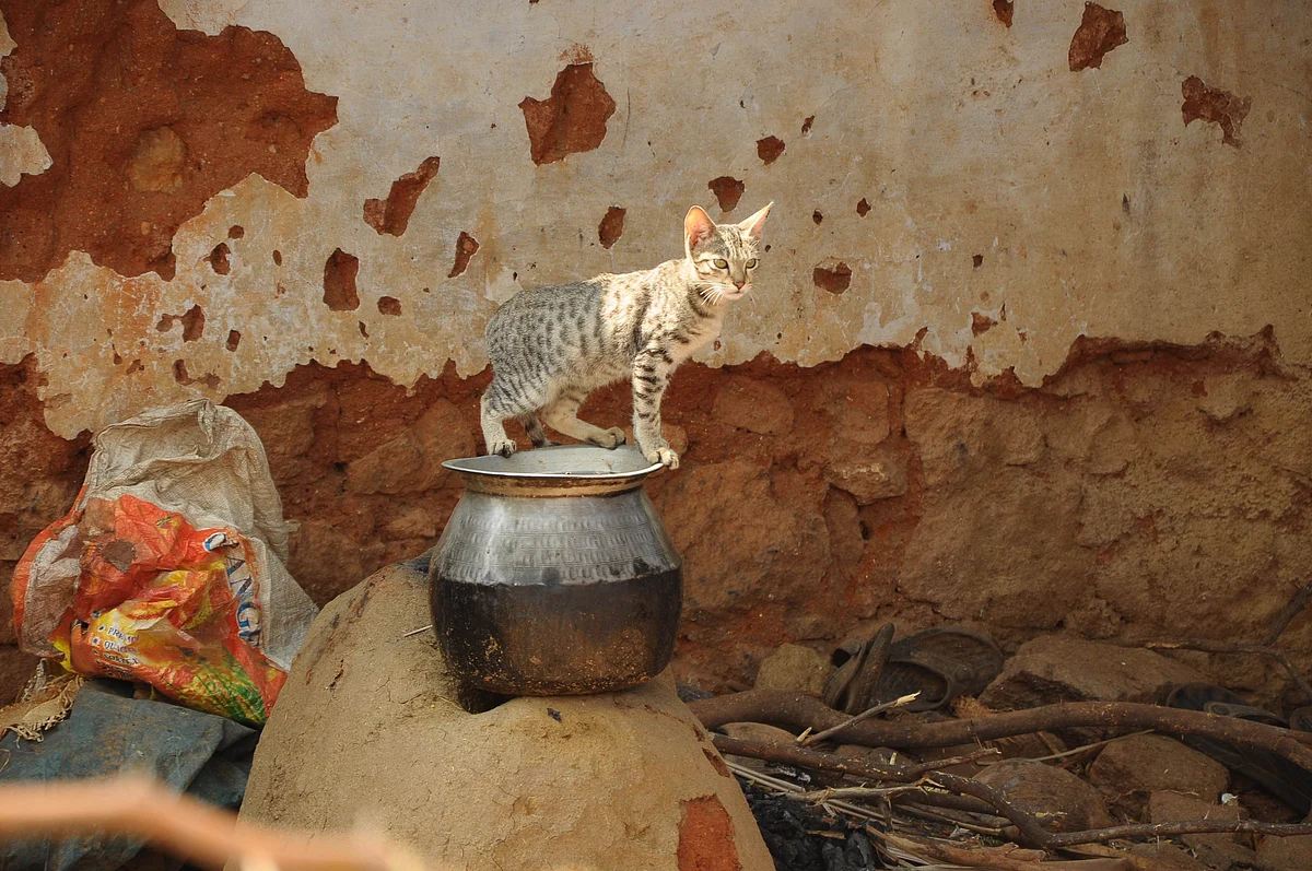 Representational Image