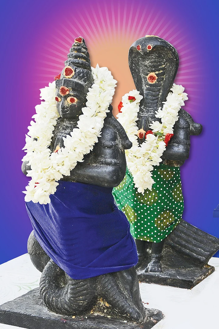 ராகு - கேது பெயர்ச்சி பலன்கள் - துல்லிய பலன்கள்... எளிய பரிகாரங்களுடன்!