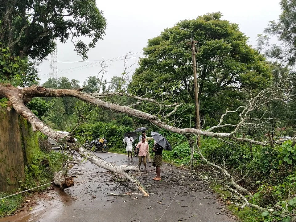 `இரண்டாவது நாளாக அவலாஞ்சியில் கொட்டித்தீர்த்த பெருமழை!’ - ஒரு நாளில் 390 மி.மீ பதிவு