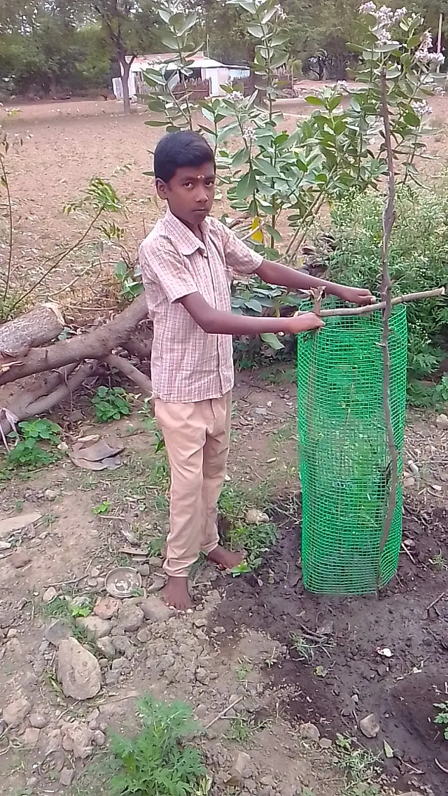 மரக்கன்று நடும் மாணவர்