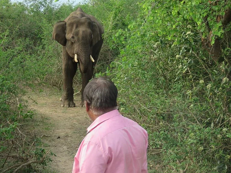 Elephant: `யானைகளுக்கும் எல்லா எமோஷன்களும் இருக்கு!’ - அனுபவம் பகிரும் டாக்டர் அசோகன்