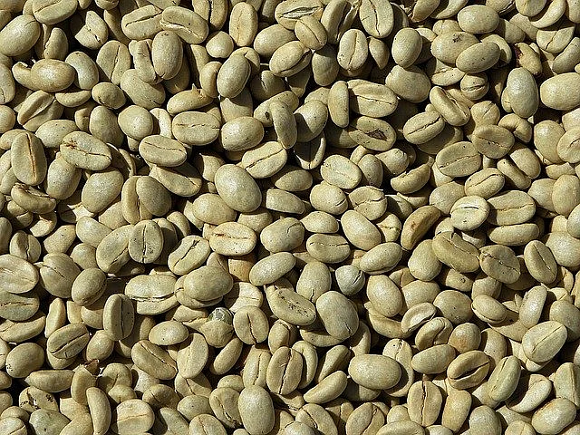 Raw Coffee beans