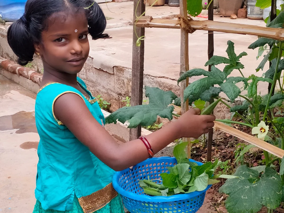 கரூர்: `அந்த ஓவியப் போட்டி தோல்விதான் இதுக்கு இன்ஸ்பிரேஷன்!' காய்கறித் தோட்டம் அமைத்த சிறுமி