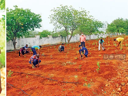 பனை மரங்களுக்குச் சொட்டு நீர்! - வறண்ட பகுதியைப் பசுமையாக்கிய டி.எஸ்.பி!