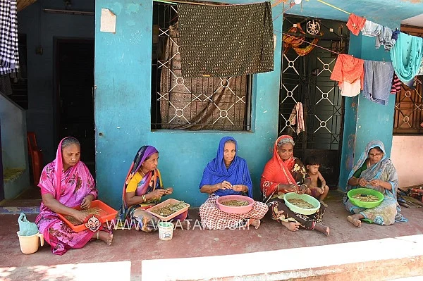 பீடி சுற்றும் தொழில்