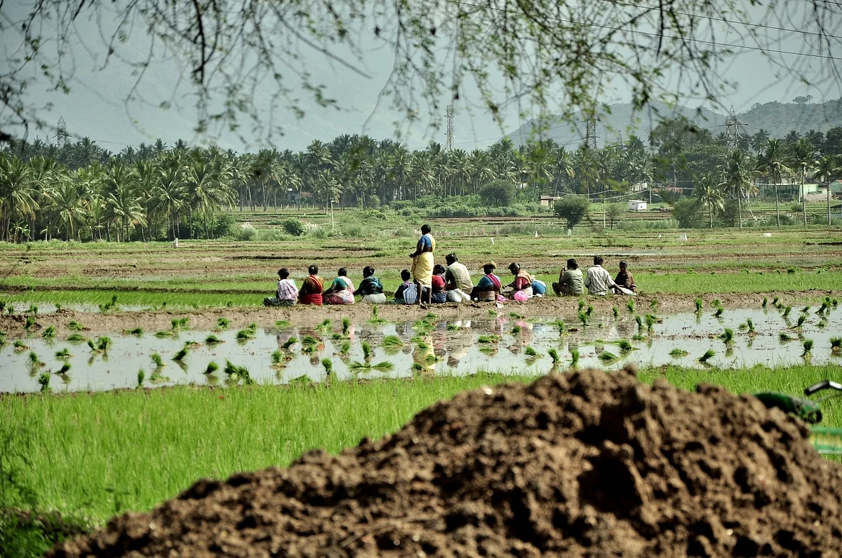 விவசாயம்