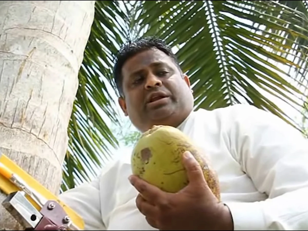 தென்னை மரத்தில் அமர்ந்தபடி செய்தியாளர் சந்திப்பு; அசத்திய அமைச்சர்! - ஏன் தெரியுமா?