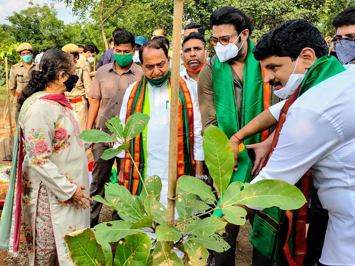 வன மேம்பாட்டுக்கு ரூ.2 கோடி நிதி... 1,650 ஏக்கர் வனப்பகுதியைத் தத்தெடுத்த நடிகர் பிரபாஸ்