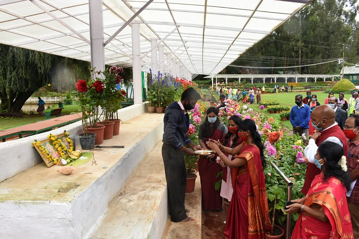 அரசு தாவரவியல் பூங்கா, ஊட்டி