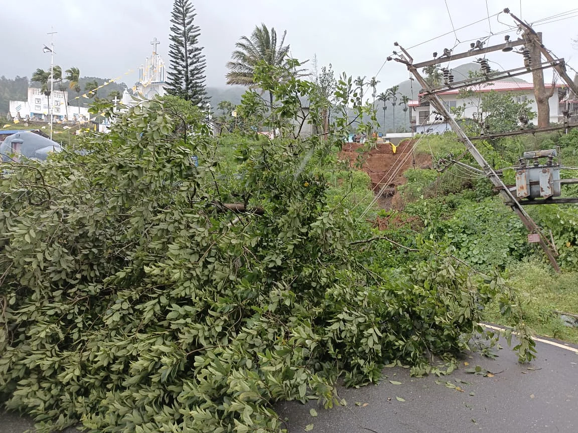 சாலையின் குறுக்கே விழுந்த மரம்.