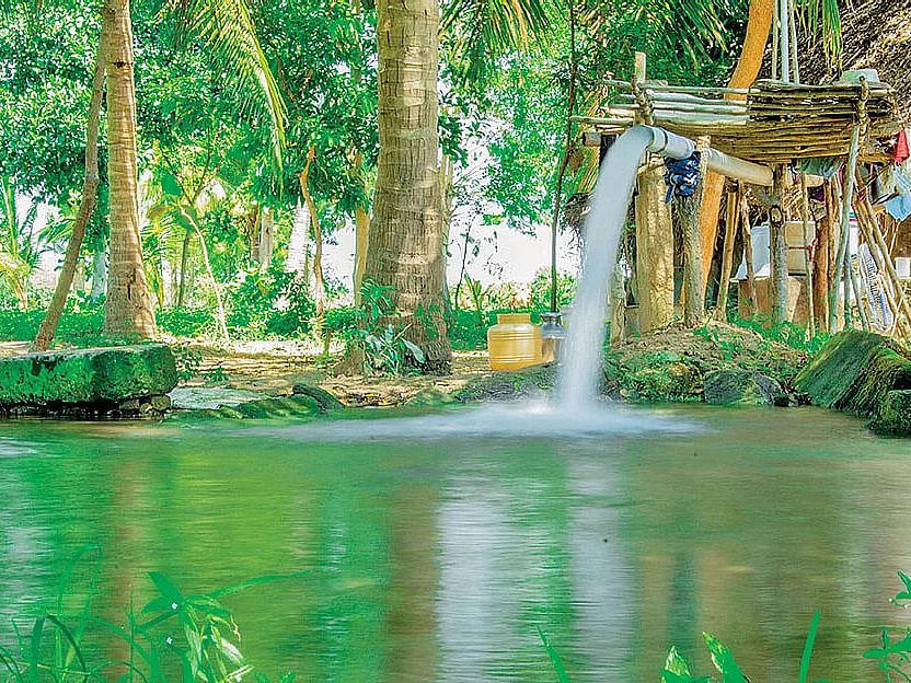 இனி விவசாயிகள் மின் இணைப்புக்காக அலைய வேண்டியதில்லை... தமிழக அரசின் புதிய மாற்றங்கள்!