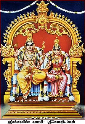 சங்கரநாராயணர்