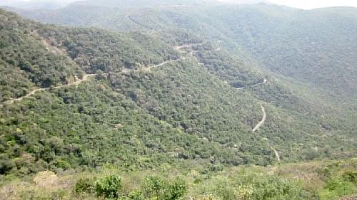 Pachaimalai