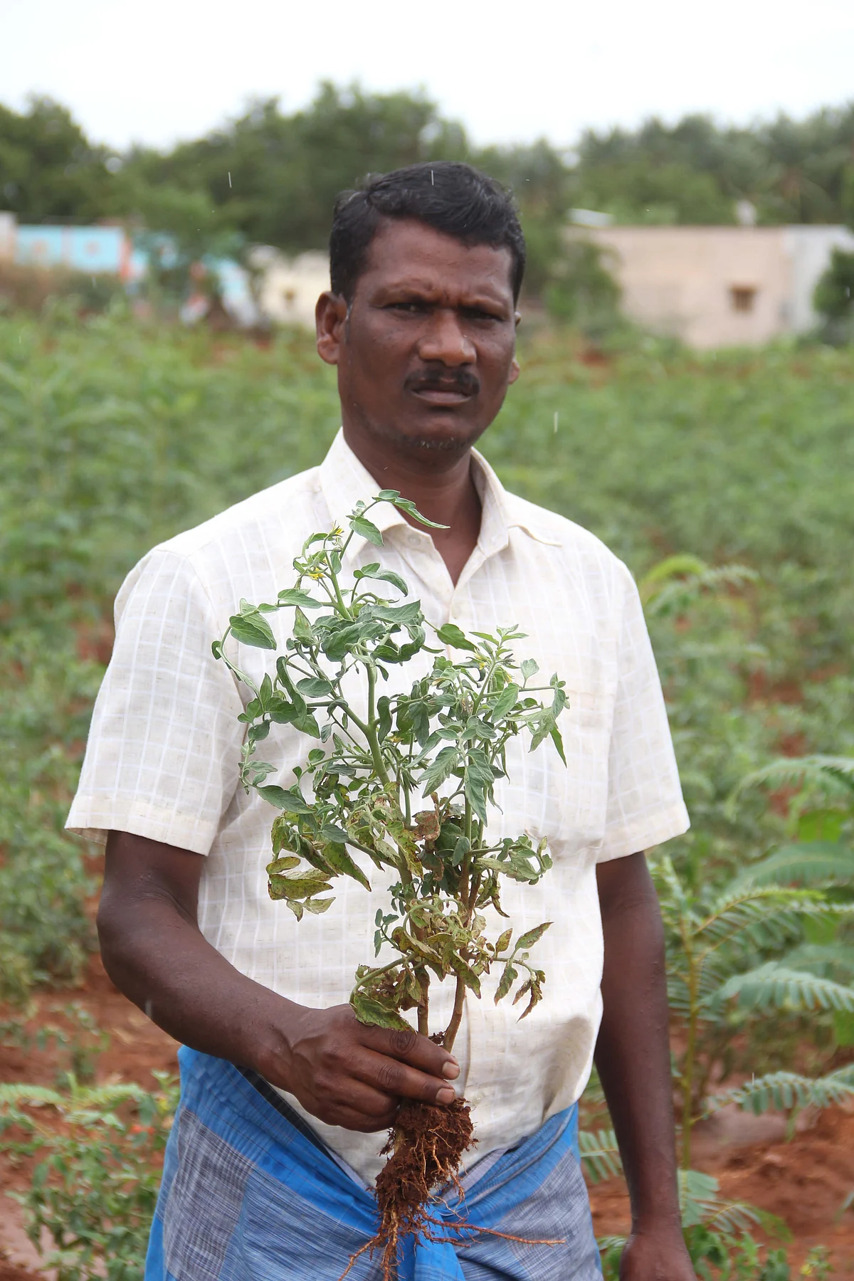 சேதுராஜ்