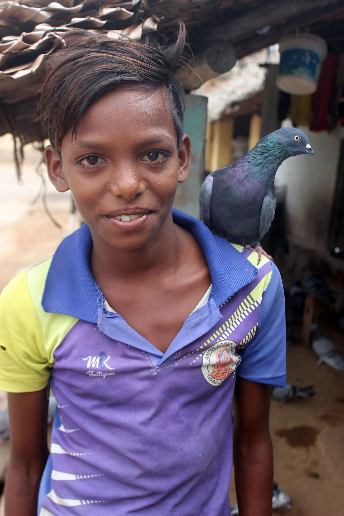 புறாவுடன் விக்னேஷ்வரன்