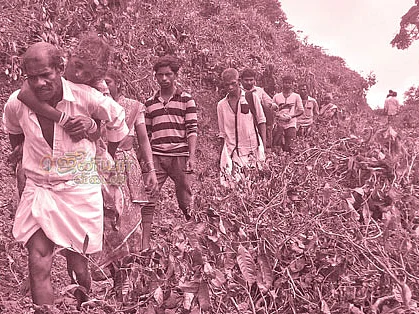 கறார் வனத்துறை... கண்ணீரில் காடர்கள்!