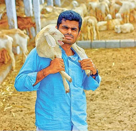 அண்ணாமலை