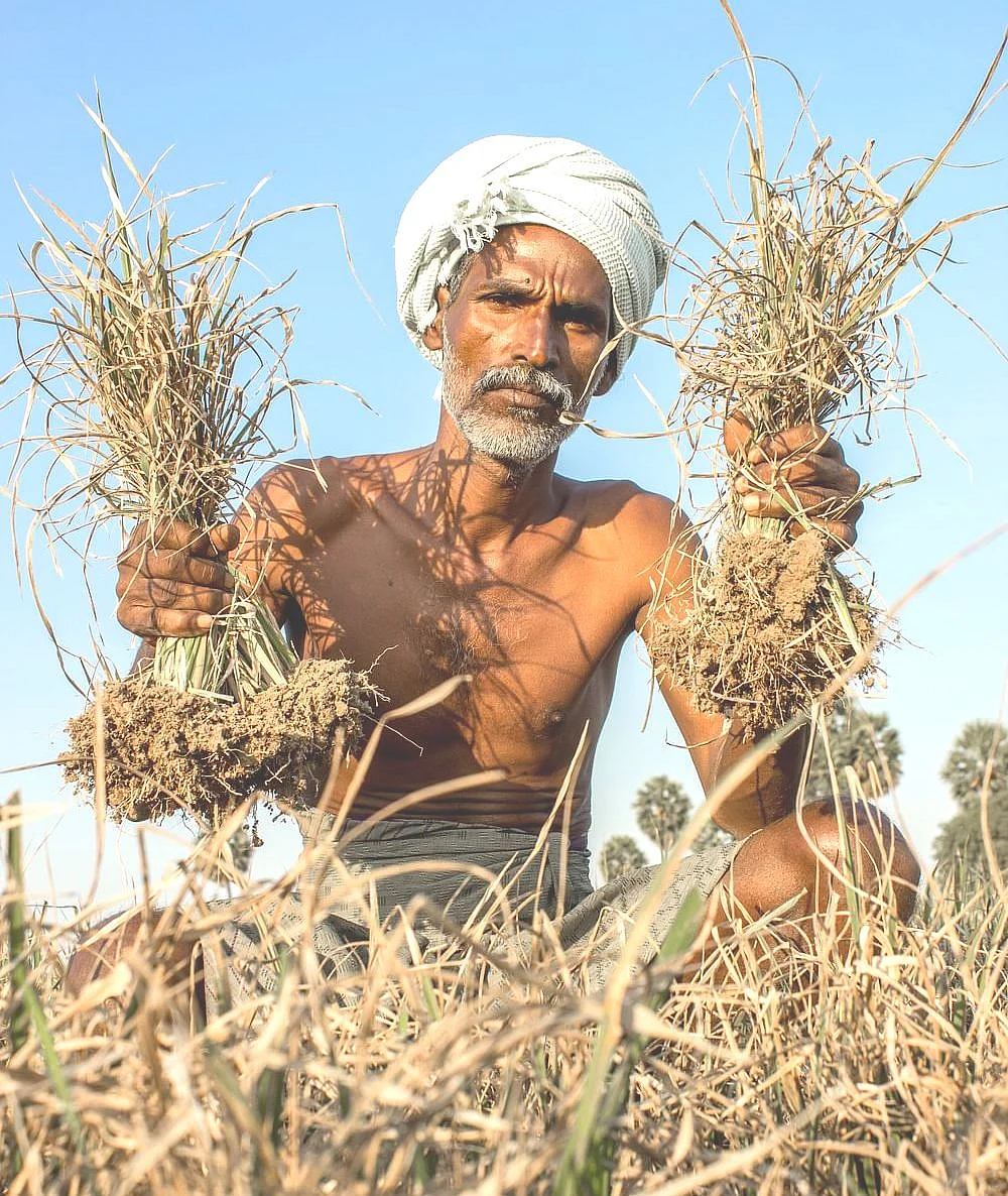 விவசாயி