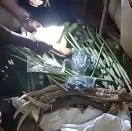 காய்கறிப்பையில் இருந்த யானைத் தந்தம், புலிநகம் உள்ளிட்டவை.