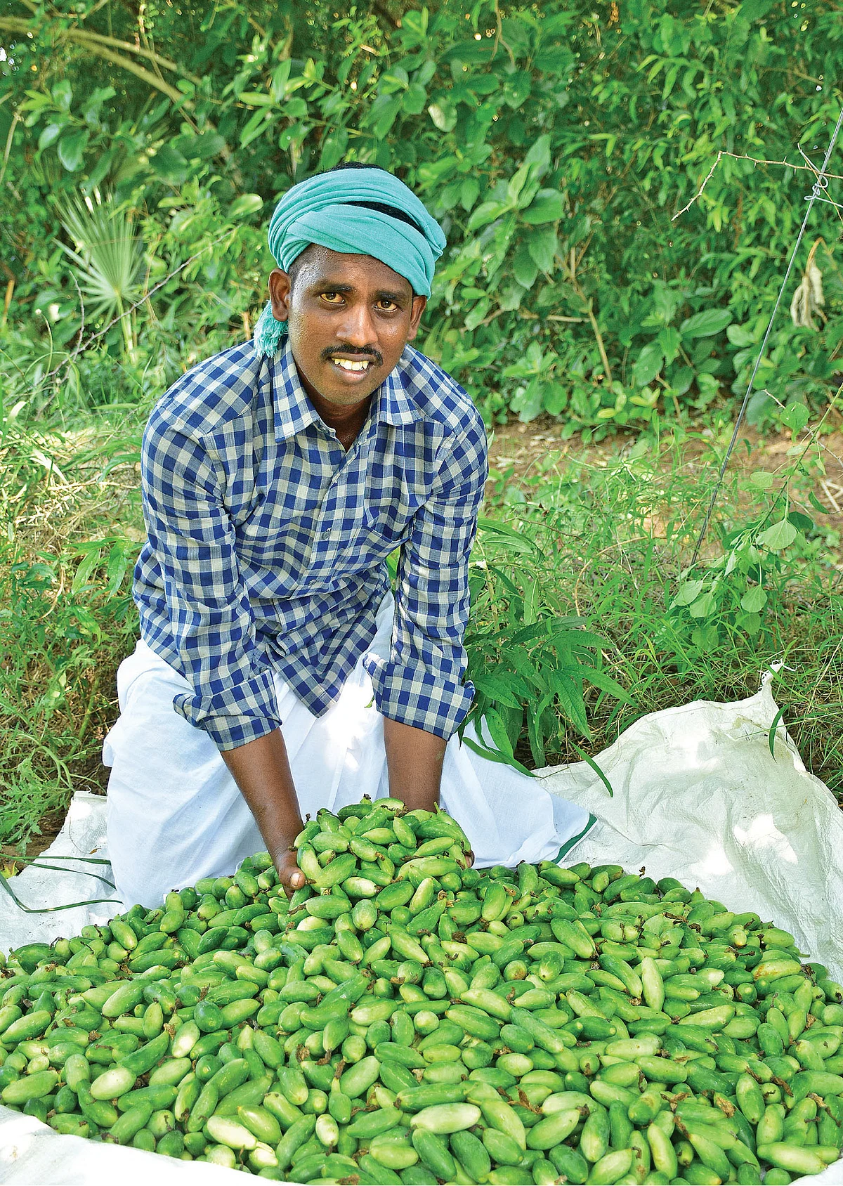 அறுவடையான கோவைக்காயுடன் ரமேஷ்