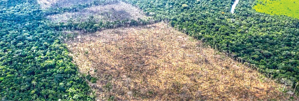 காடுகளைக் காக்கும் டிரோன், யானைகளைக் காக்க யார்?