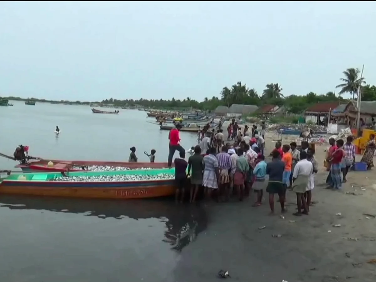 சீர்காழி: மீனவர்களுக்கான கிசான் அட்டை வழங்குவதற்கு லஞ்சம்... சிக்கிய மீன்வளத்துறை அதிகாரி!