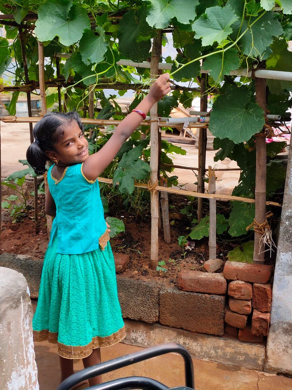 காய்கறி அறுவடையில் நிரஞ்சனா