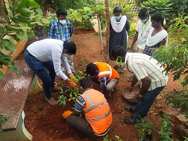 காய்கறித் தோட்டம் அமைக்கும் பணி