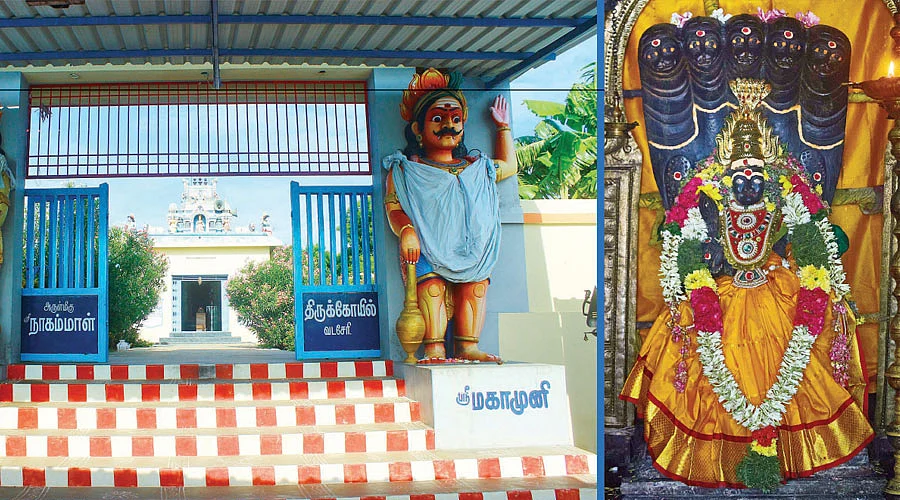 வடசேரி நாகம்மாள் ஆலயம்