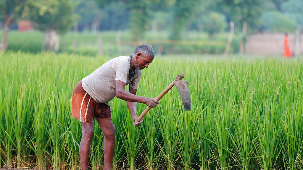 Farmer (Representational Image)