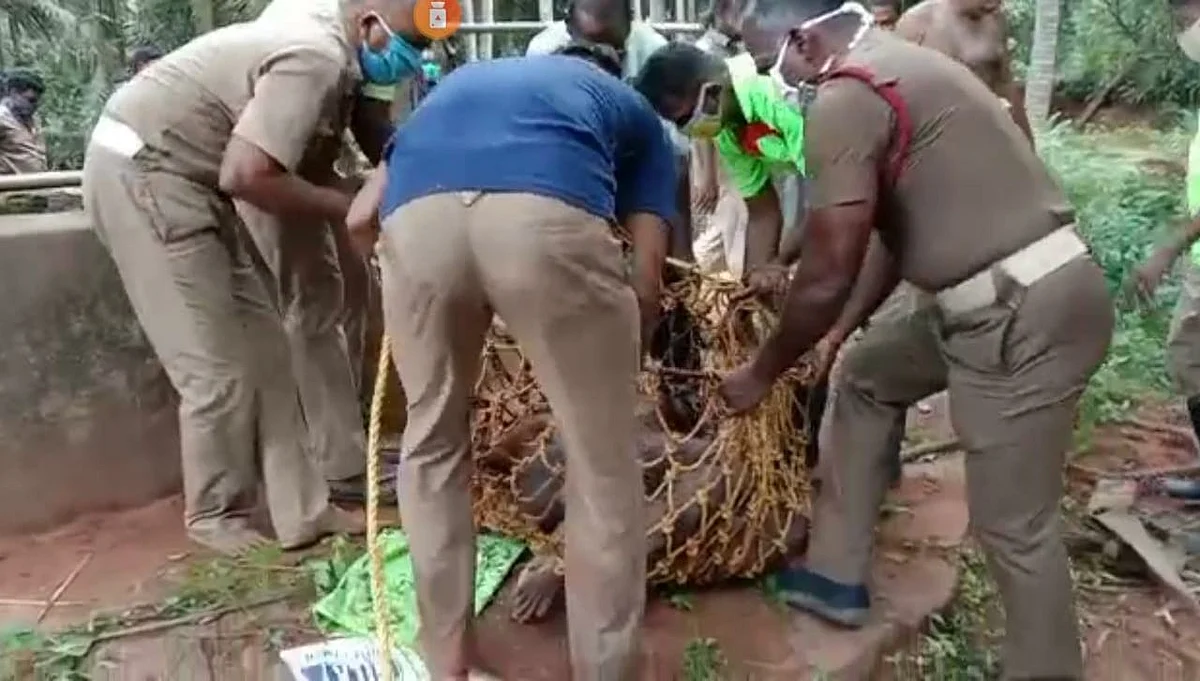 கிணற்றில் இருந்து உடல் மீட்பு