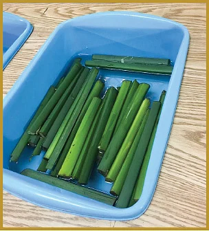 ஊறவைக்கப்பட்ட பாப்பிரஸ்