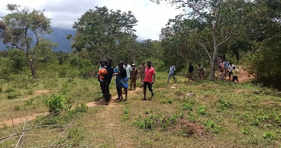 புலி தேடும் பணி