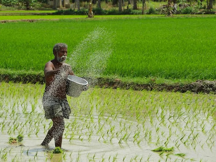 ஊரடங்கு காலத்திலும் ஏற்றுமதியில் சாதித்த விவசாயத்துறை... அரிசியும் சர்க்கரையும் முன்னிலை!