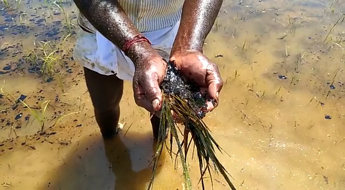 ஓ.என்.ஜி.சி குழாய் உடைப்பு