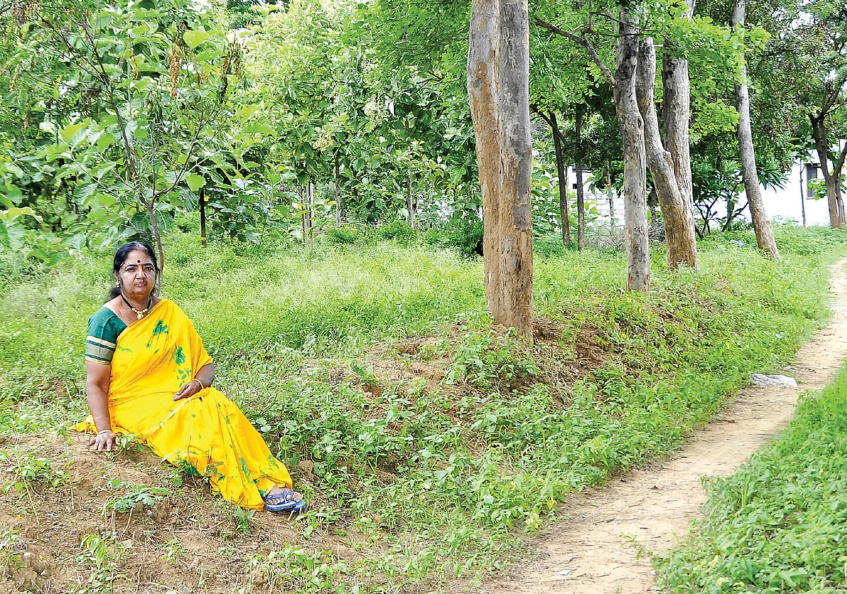 இயற்கை வாழ்வு: பறவைகள் நாய்கள் பூனைகள் ஆடு-மாடுகள் முயல்கள் மரங்கள் மற்றும் நான்!