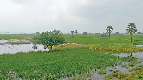 முன்னறிவிப்பு