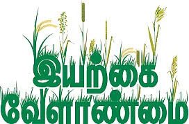 இயற்கை வேளாண்மை 14 : வேப்ப எண்ணெய்... பூச்சிகளுக்கு வில்லன் பயிர்களுக்கு நண்பன்!