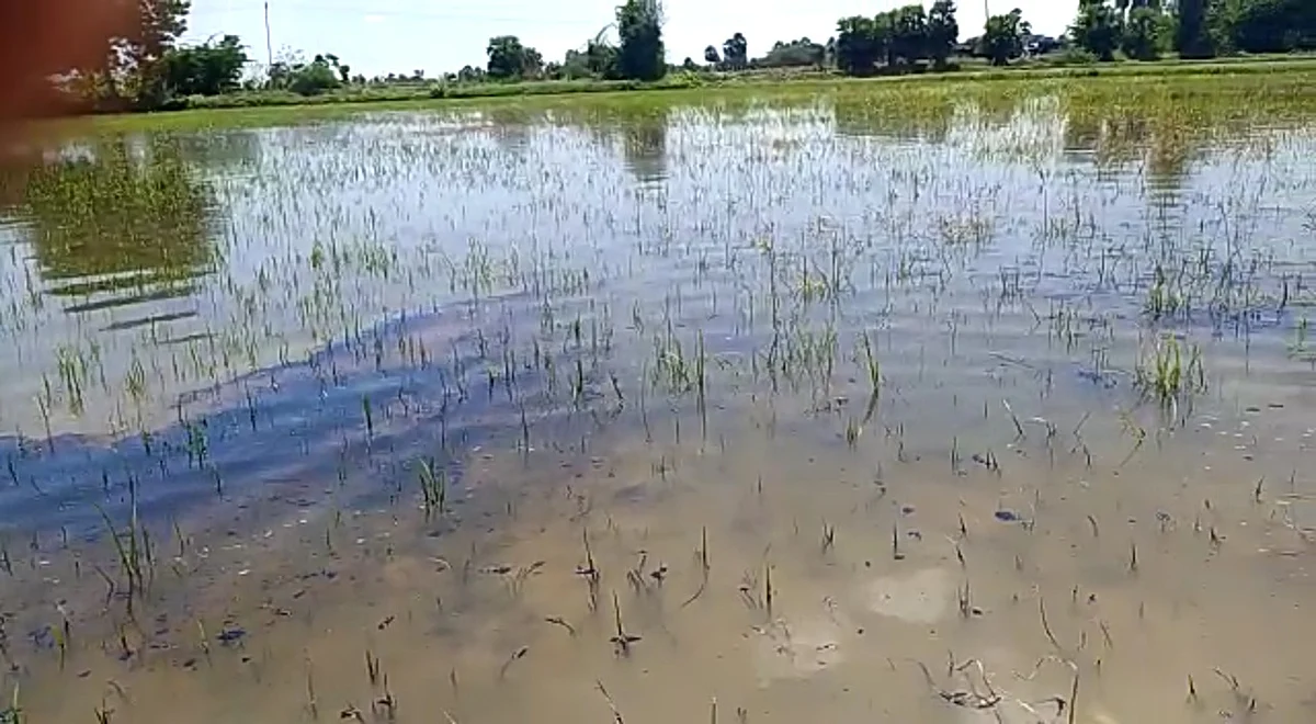 ஓஎன்ஜிசி குழாய் உடைப்பு