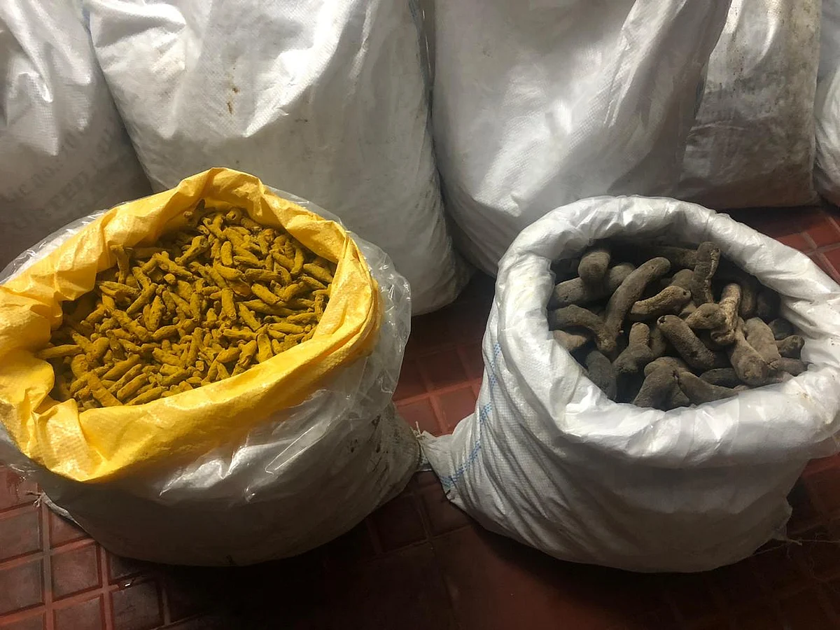 போலீஸாரிடம் சிக்கிய கடத்தல் மஞ்சள் - கடல் அட்டை.