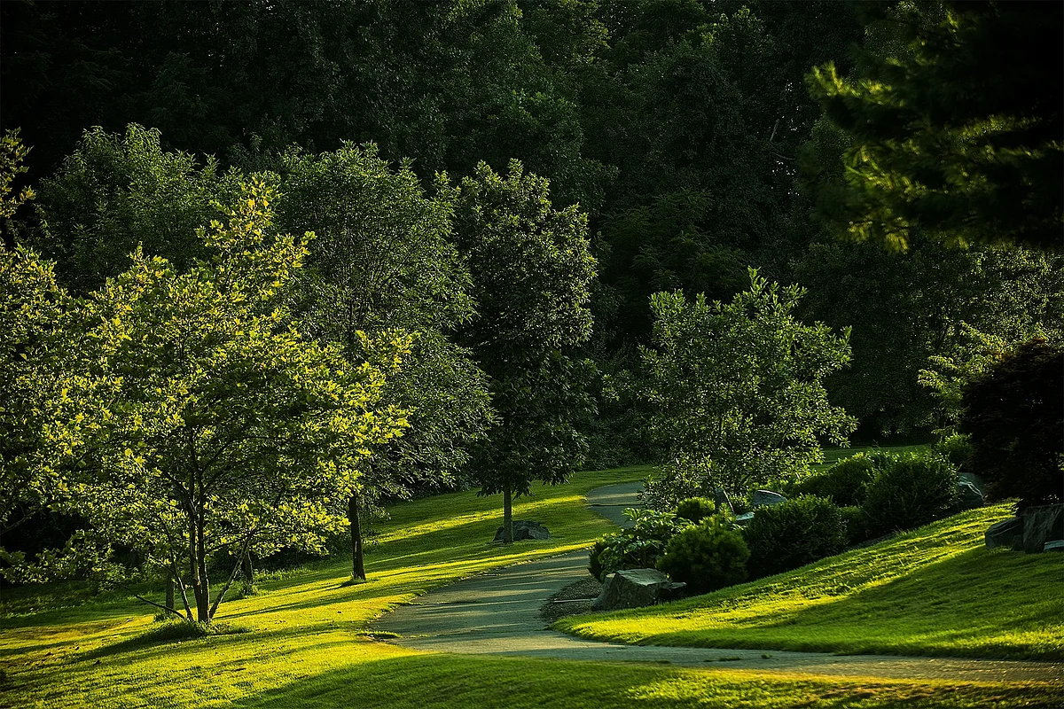 Virginia