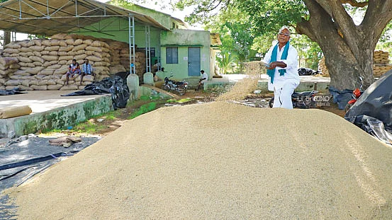 நெல்லுடன் சாமிநாதன்