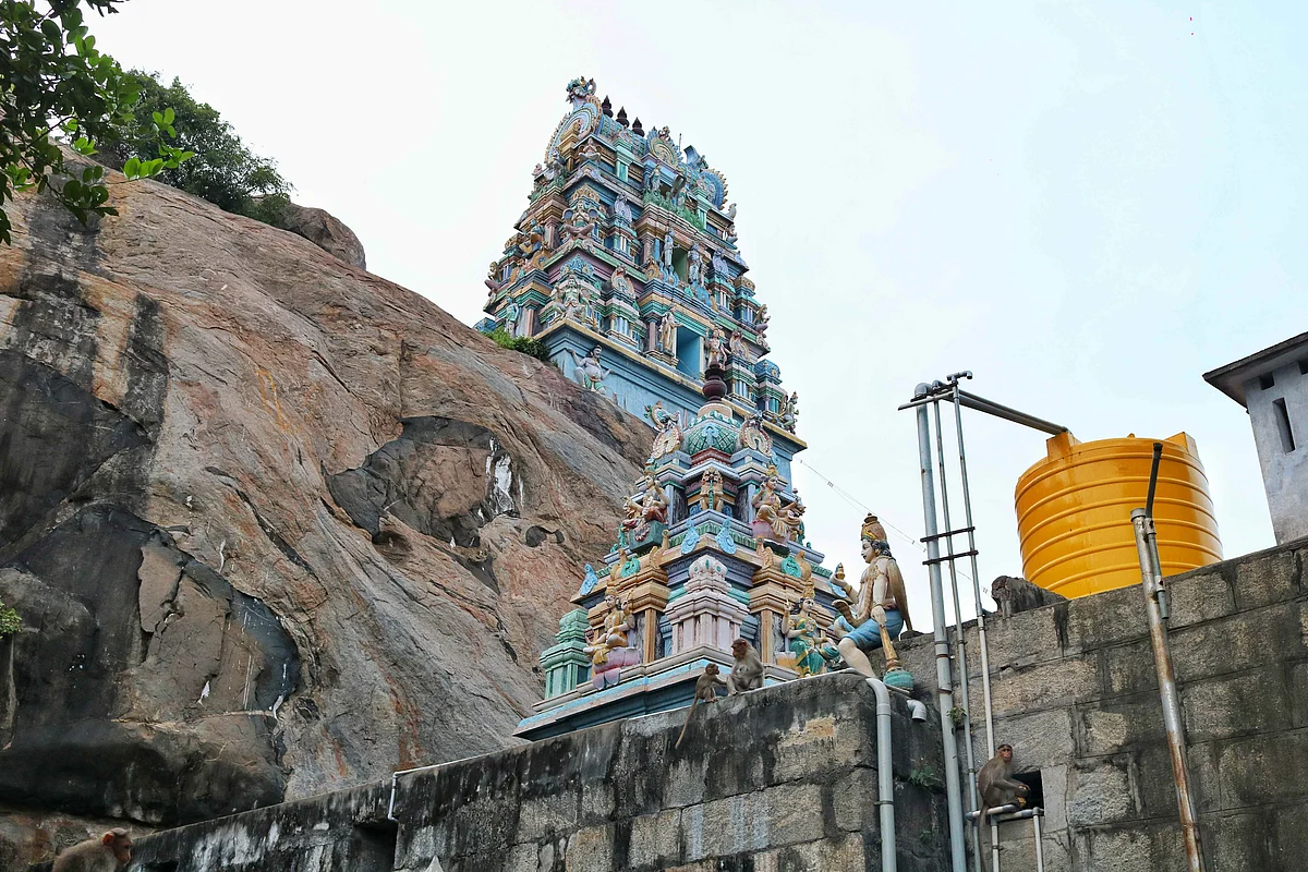 சிங்கவரம்