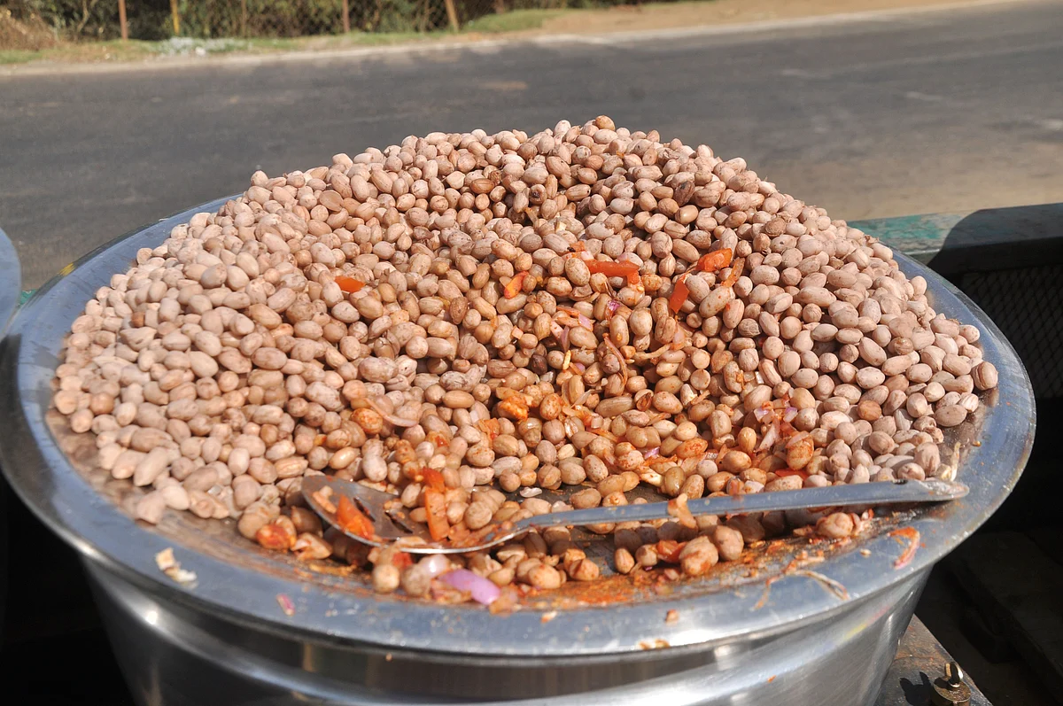 Groundnut