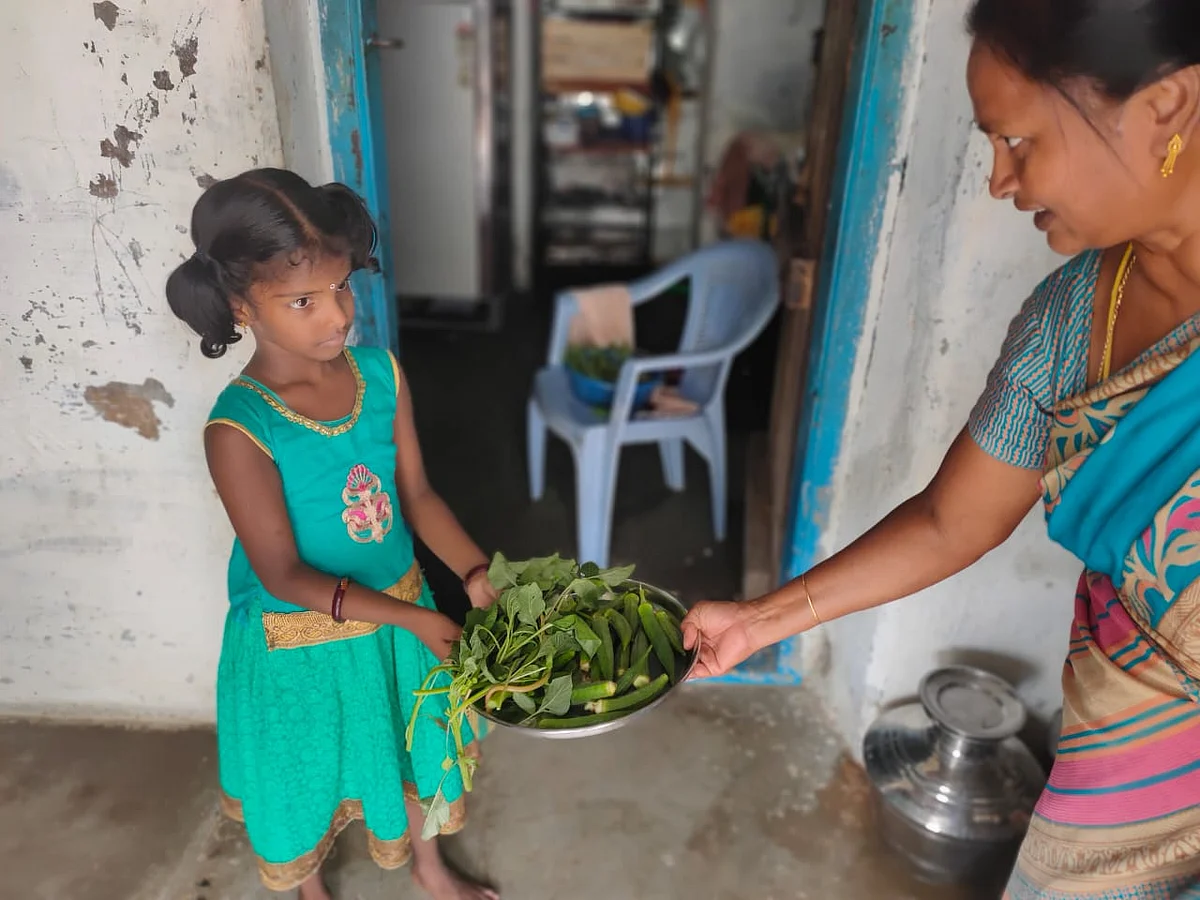 அறுவடை செய்த காய்கறியைக் கொடுக்கும் நிரஞ்சனா