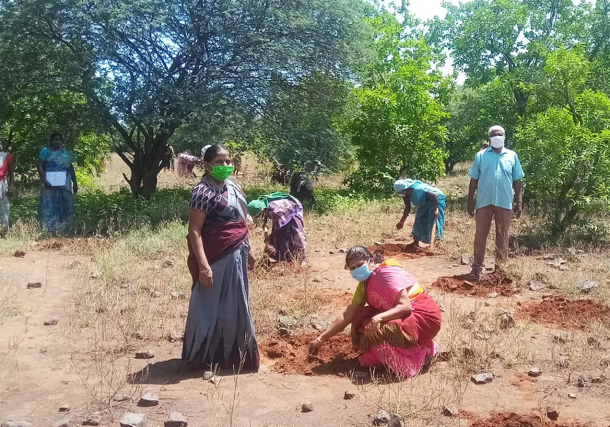 பனைவிதை நடும் கங்கை அபிராமி
