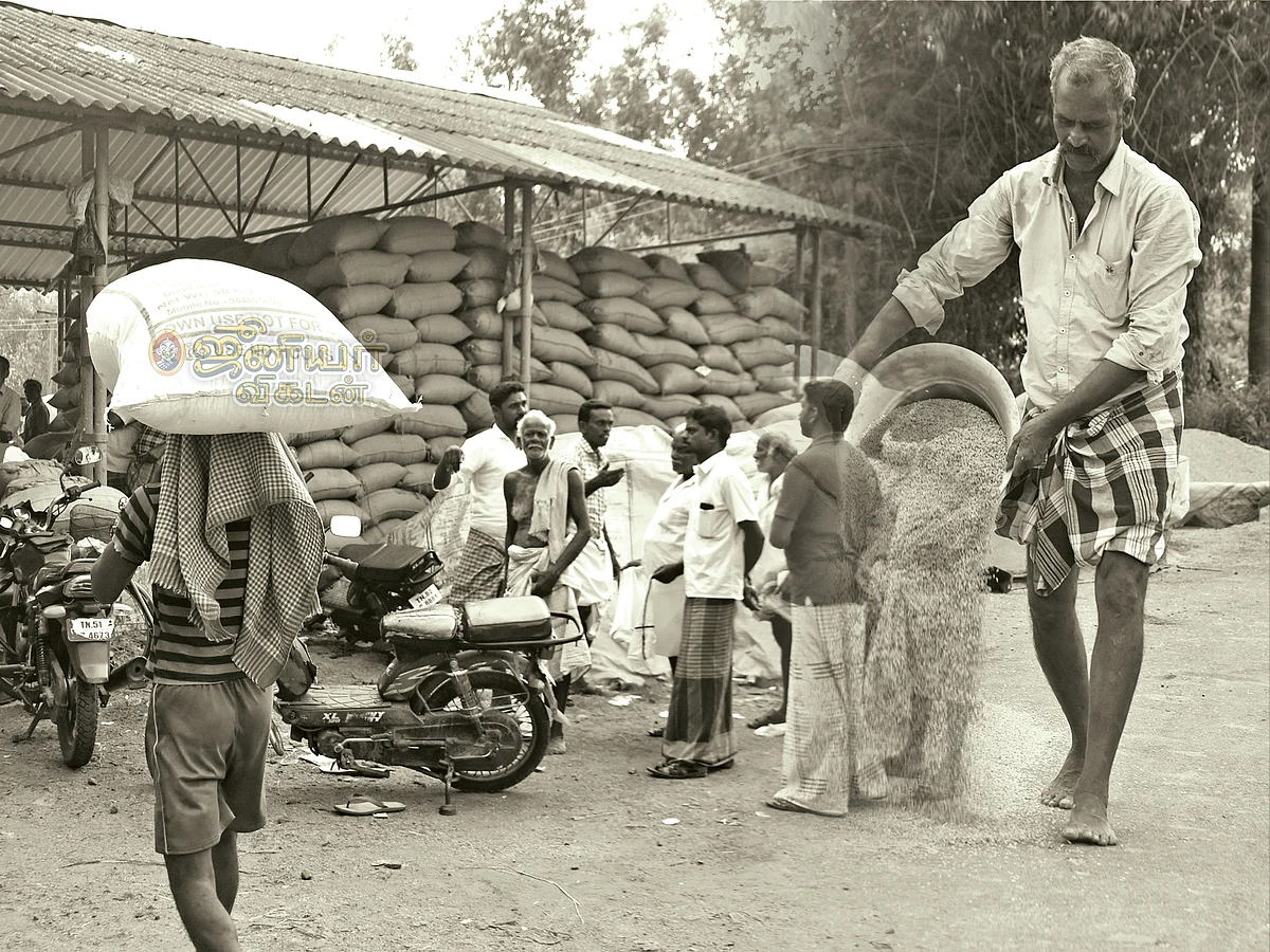 “விளைஞ்ச நெல்ல விக்க முடியலை!” - கண்ணீரில் நனையும் விவசாயிகள்...