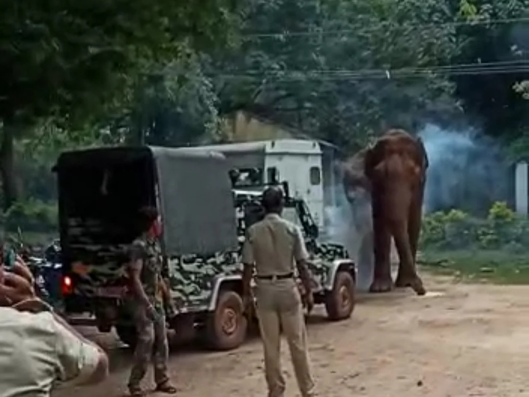 கைவிட்ட தமிழக, கேரள வனத்துறை - வலியுடன் சுற்றித் திரியும் மக்னா யானை!